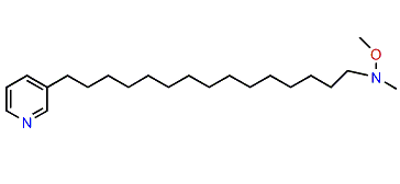 Xestamine E